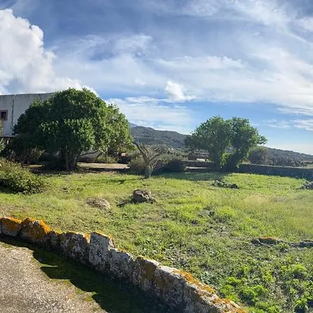 Al Palazzotto