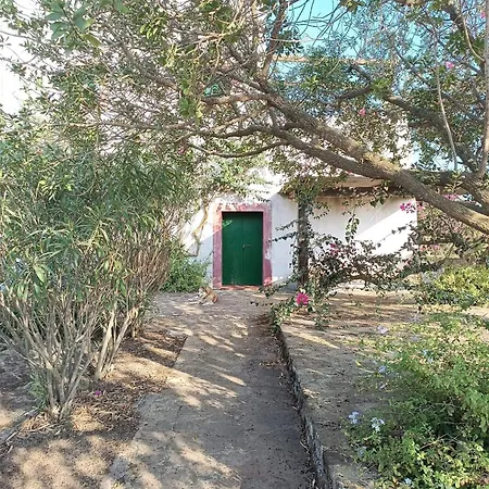 Al Palazzotto Gasthuis *