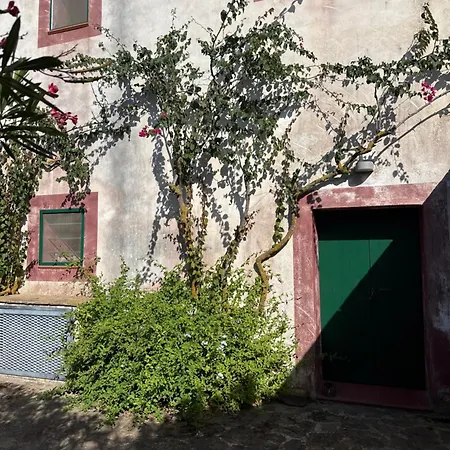 Al Palazzotto *
