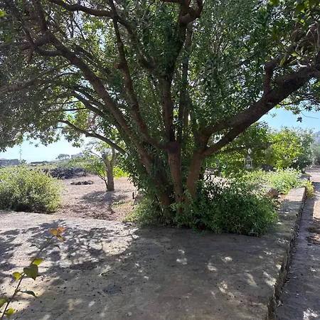 Al Palazzotto Pantelleria