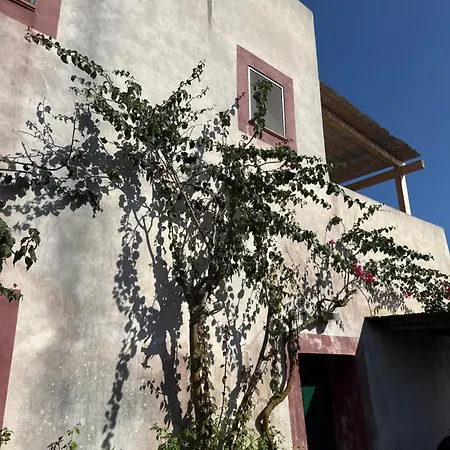 Al Palazzotto